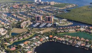 we-service-cape-coral-tree-removal