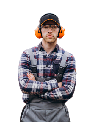 tree-removal-expert-answers-questions