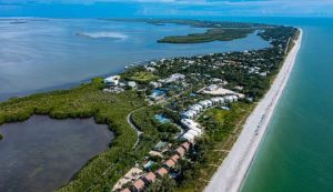 we-service-captiva-island-tree-removal