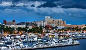 we-service-ft-myers-tree-removal