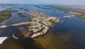 we-service-pine-island-tree-removal